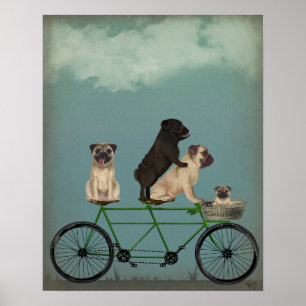 Poster Pug Tandem