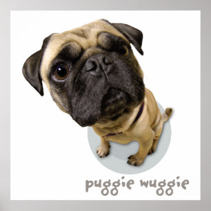Pôster Puggie Wuggie