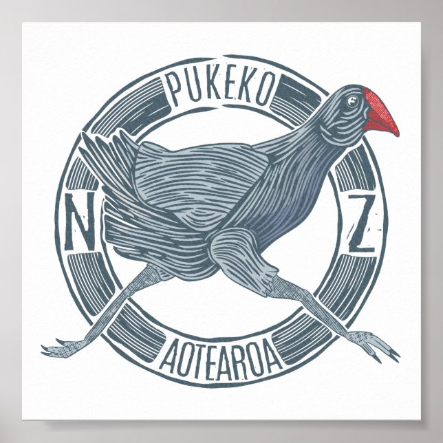 Poster Pukeko Aotearoa Nova Zelândia (Frente)