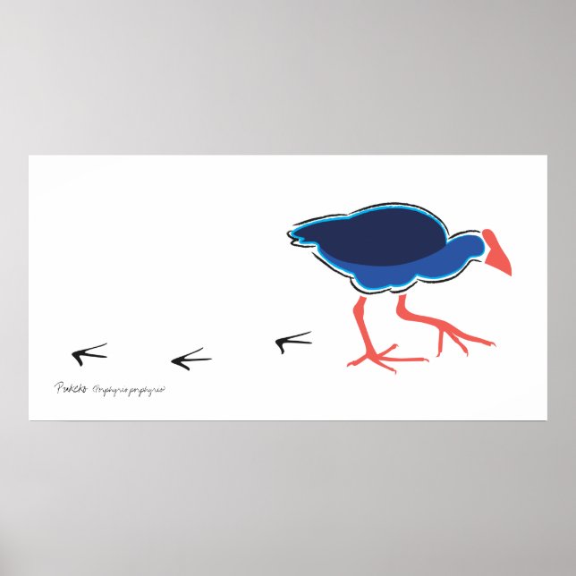 Pôster Pukeko Steps Poster/Impressão (Frente)