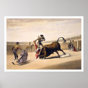 Pôster Pulando um Touro