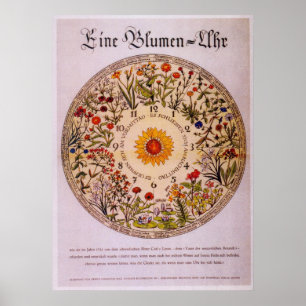 Poster Pulso de disparo Poster2 da flor de Blumenuhr