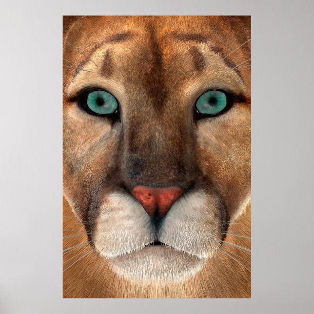 Pôster Puma (Frente)