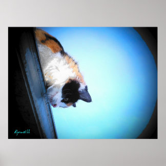 Poster Puma olha para baixo por djoneill