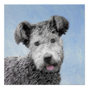Pôster Pumi Painting - Bela Arte Cachorra Original