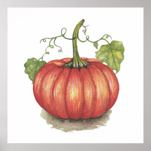 Poster Pumpkin Bonito Com Vinhas Em Aquarela