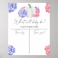 Pumpkin Gênero revela gráfico de Menino ou Raparig