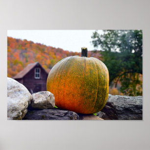 Pôster Pumpkin on Rock Wall in Vermont, Autumn