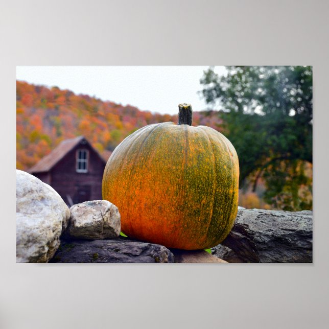 Pôster Pumpkin on Rock Wall in Vermont, Autumn (Frente)