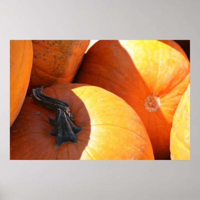 Poster Pumpkins (Frente)