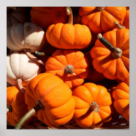Pôster Pumpkins