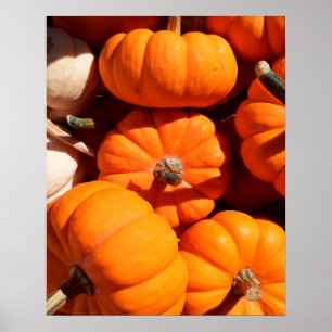 Poster Pumpkins