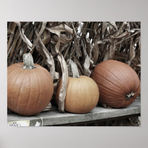 Poster Pumpkins De Queda E Pilhas De Milho