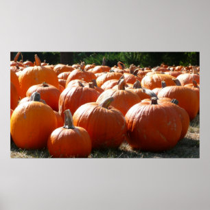 Pôster Pumpkins Foto para Queda, Dia das Bruxas ou Ação