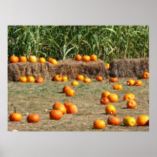 Pôster Pumpkins, Milho e Fotografia de Colheita de outono
