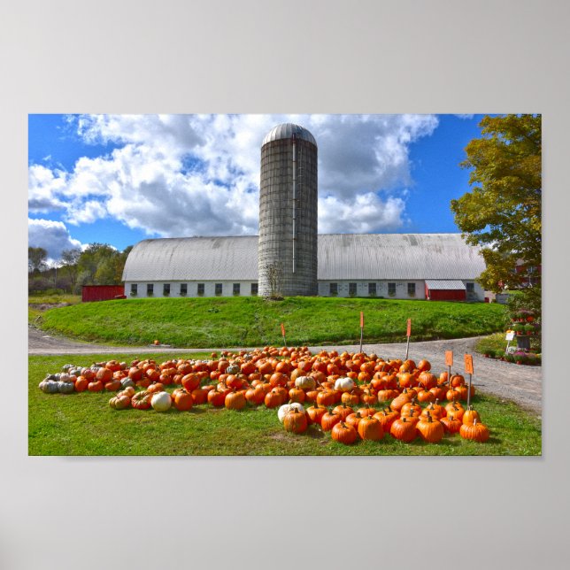 Poster Pumpkins para venda na Pensilvânia Fazenda Barn (Frente)