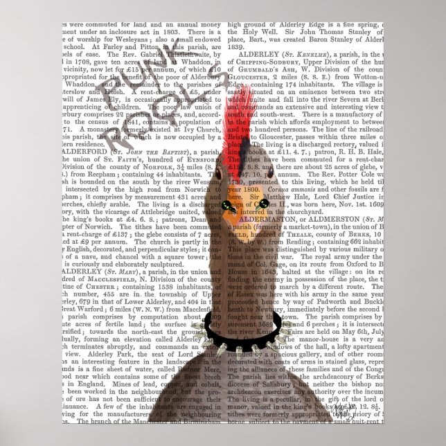 Poster Punk Rock Goose (Frente)
