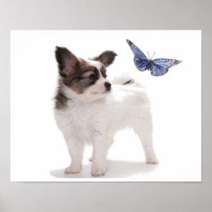 POSTER PUP COM BOTÃO