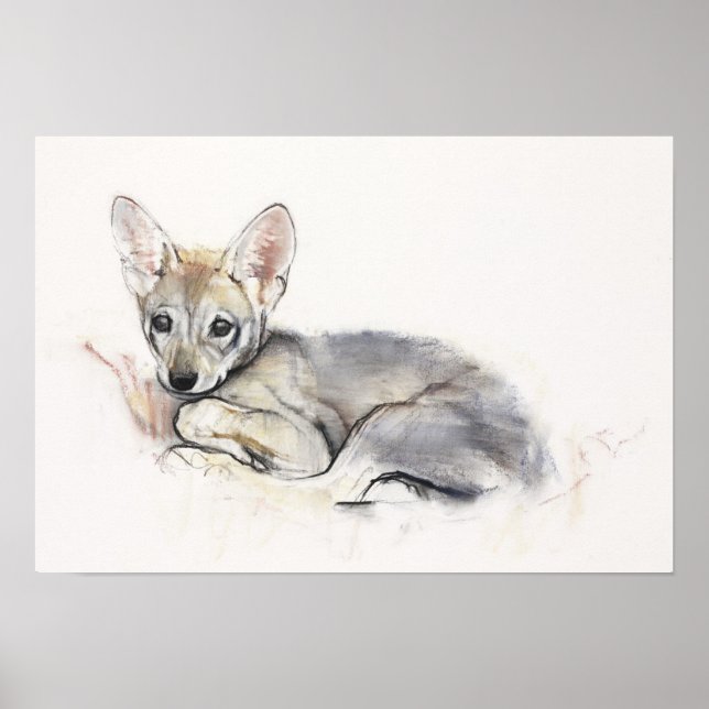 Poster Pup do Lobo Árabe Curled 2009 (Frente)