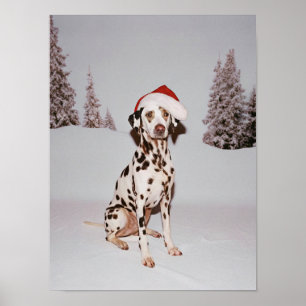 Poster Pup Festivo