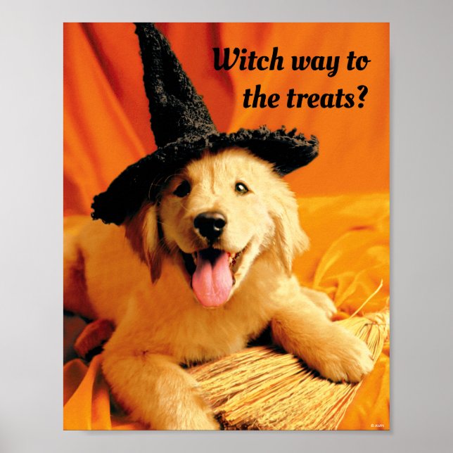 Poster Pup with Witch Hat and Broom (Frente)