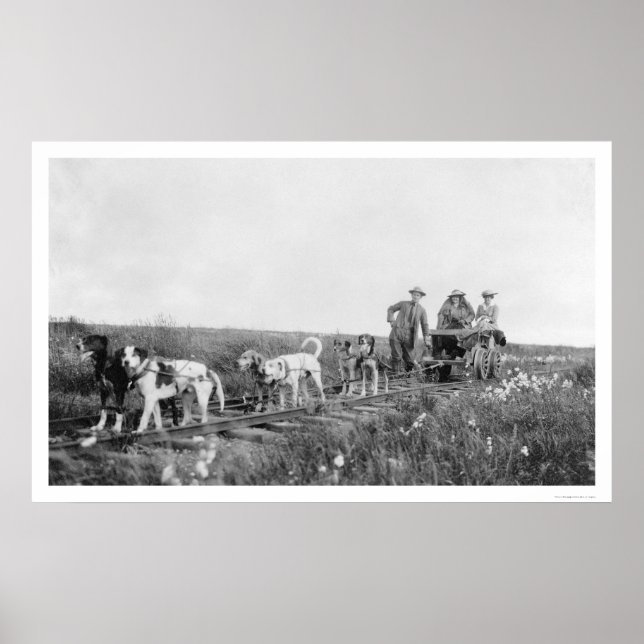 Poster Pupmobile Train Nome, Alasca 1906 (Frente)