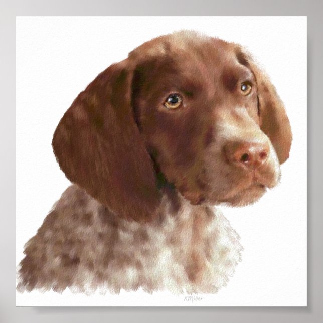 Poster Puppia Shorthair Alemã (Frente)