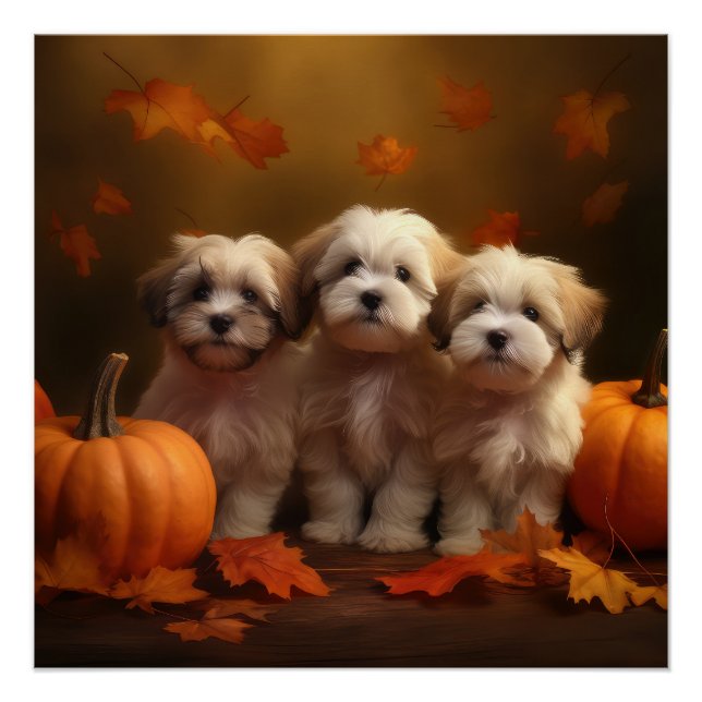 Pôster Puppy Autumn Delight Pumpkin (Frente)