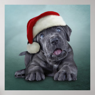 Poster Puppy Cane Corso em chapéu vermelho de Papai Noel