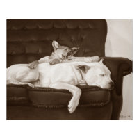 puppy cuddddling white american buldog arte realis