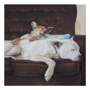 Pôster puppy cuddddling white american buldog arte realis