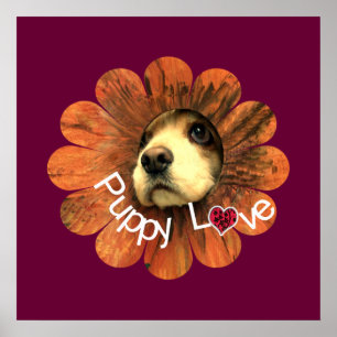 Pôster Puppy Love