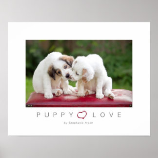 Poster Puppy Love