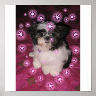 Pôster Puppy Love -Poster