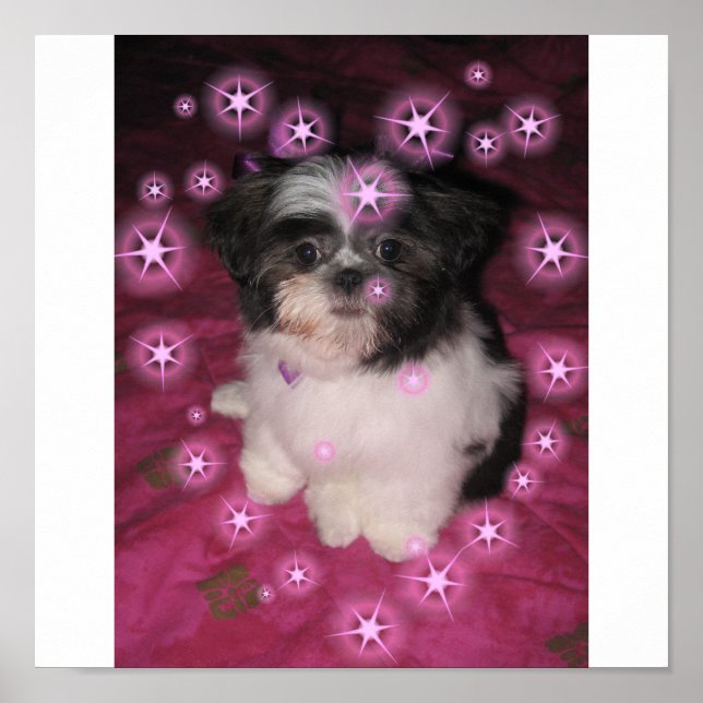 Pôster Puppy Love -Poster (Frente)