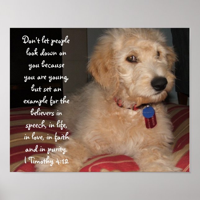 Pôster Puppy Sam (Frente)