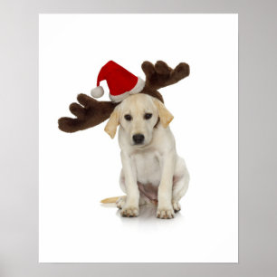 Pôster Puppy with Santa Hat and Reindeer Ears
