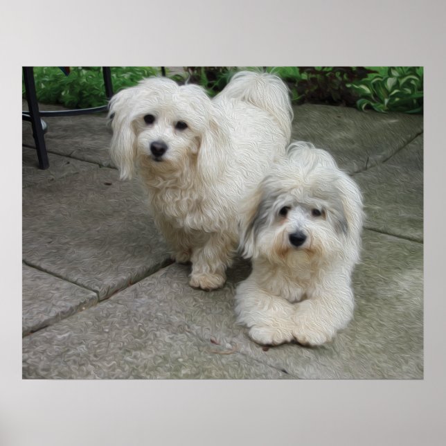 Pôster Pups em óleo (Frente)