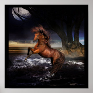 Poster Pura alegria....