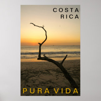 Poster PURA VIDA Praia Flamingo