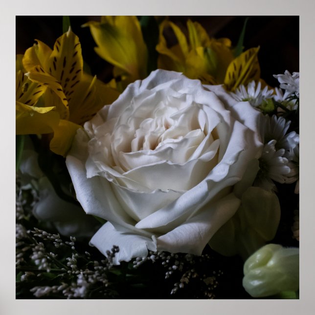 Poster Pure (Frente)