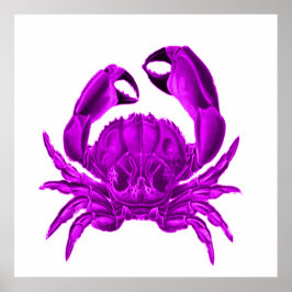 Pôster Purple Crab Beach Decor