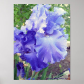 Pôster Purple Iris Watercolor