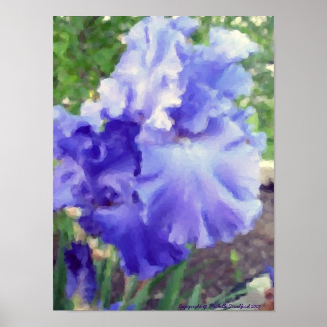 Pôster Purple Iris Watercolor (Frente)