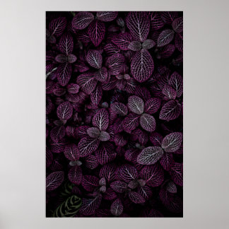 POSTER PURPLE LEAFED PLANT FIELD