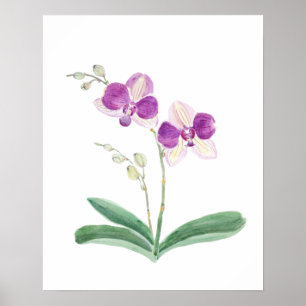 Poster purple orchid watercolor