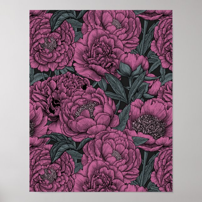 Poster Purple peony flowers (Frente)