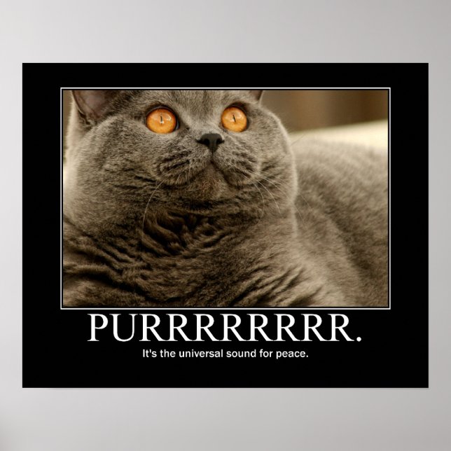 Poster Purr é o som universal da Trabalho de arte de paz (Frente)