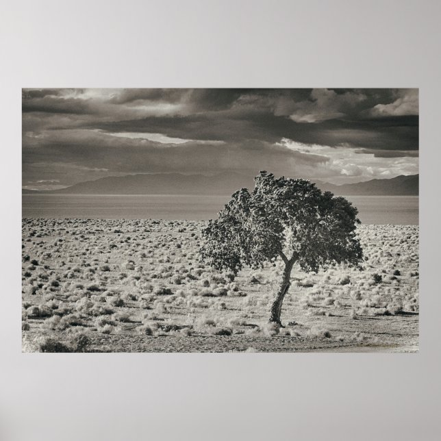 Poster Pyramid Lake, Nevada 2 (Frente)