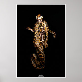 Pôster Python por Johannes Stötter